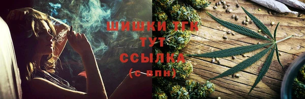 прущие крисы Абаза