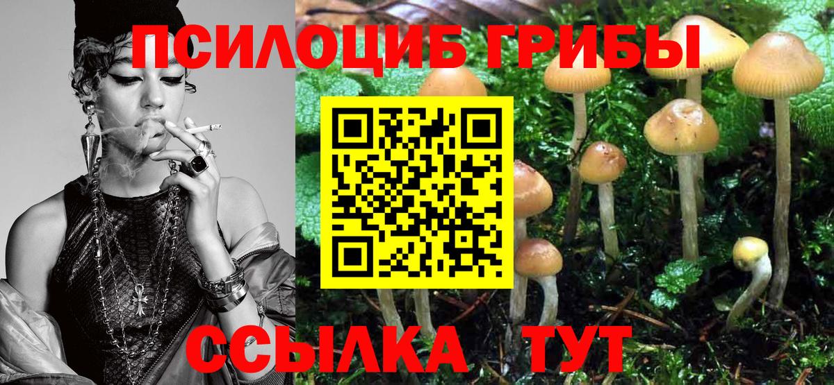 Псилоцибиновые грибы MAGIC MUSHROOMS  Вход с VPN  Удомля 